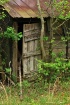 Long Forgotten