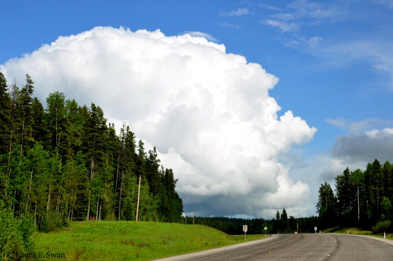 Stormy Skies