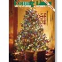 © Timlyn W. Vaughan PhotoID # 12914641: Christmas Cover 2009