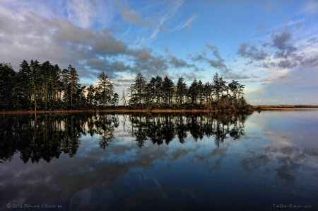 Quiet Time Reflections