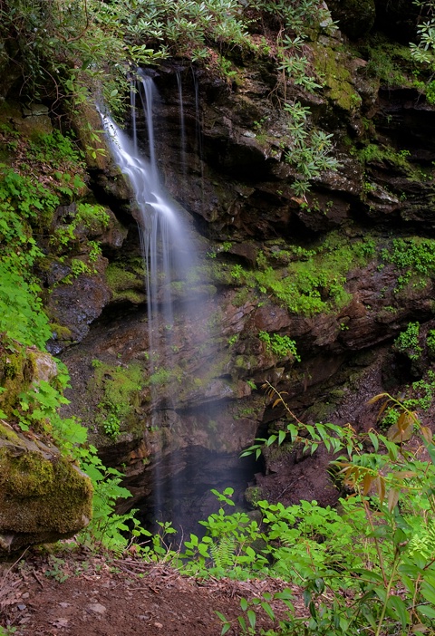 Rainbow Cave Falls, GSMNP White Oak Sinks - ID: 12916763 © Donald R. Curry