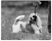 It's My Stick...