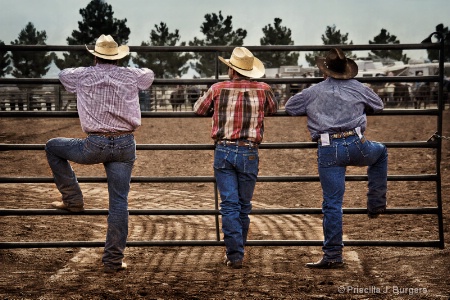 Rodeo Dads