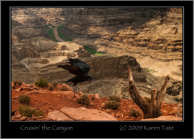 Cruisin' the Canyon - ID: 12916935 © Karen Rosenblum