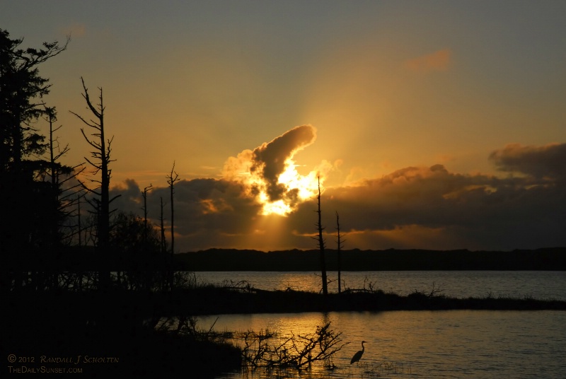 Sunset Silhouettes