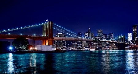 The One And Only Brooklyn Bridge
