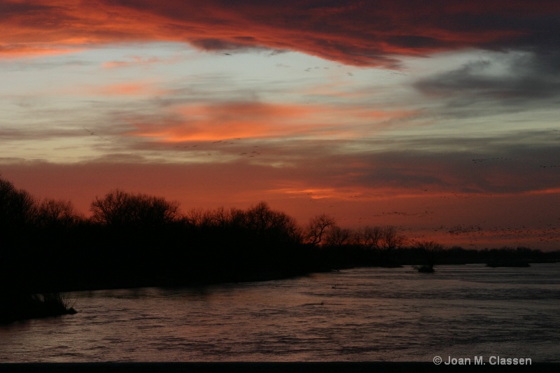 Wings Over the Platte