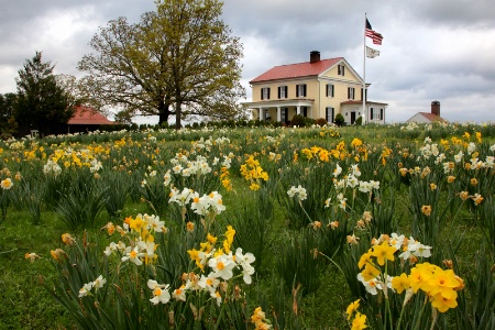 Farmhouse with Flowers