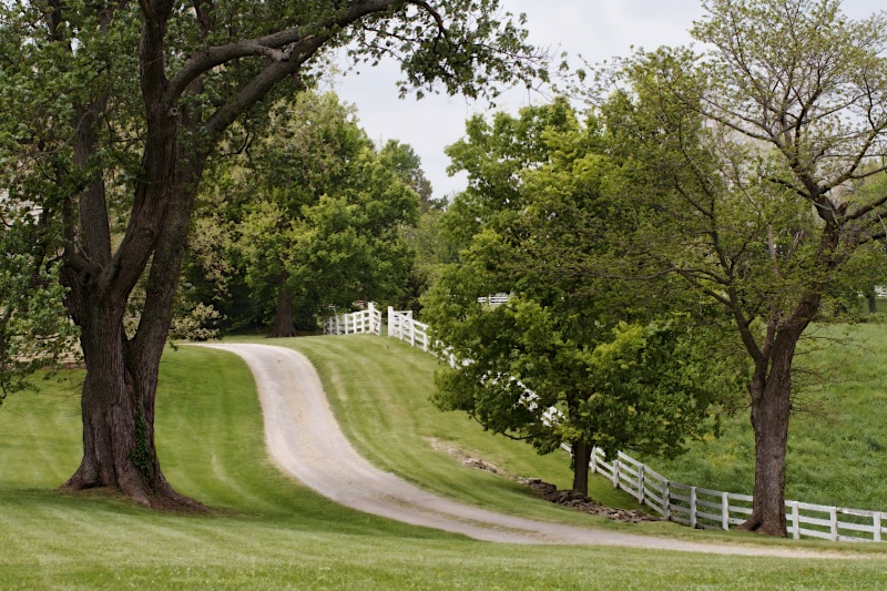 Country Lane