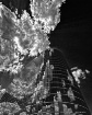 Clouds....