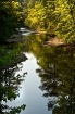 Alabama Creek