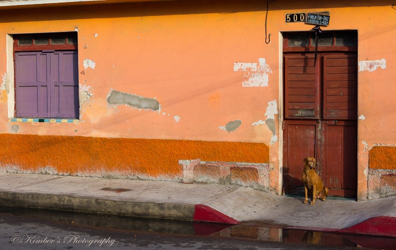 Colorful Cozumel