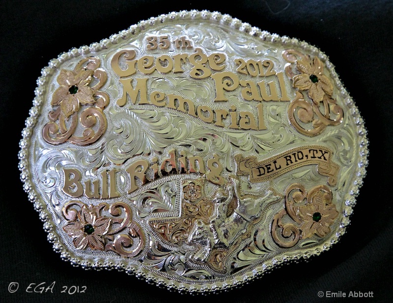 "The Prized Buckle" - ID: 12936980 © Emile Abbott