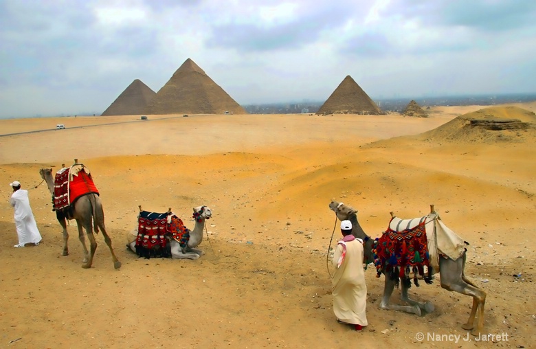 Pyramids with Camels