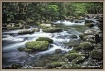 Smoky Stream