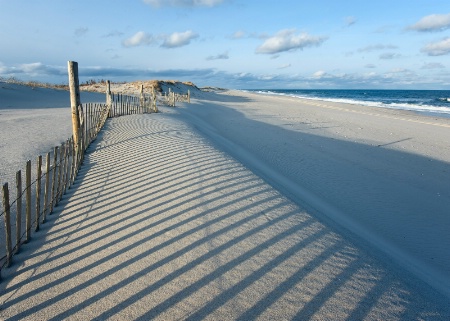 Dune Fence Shadow