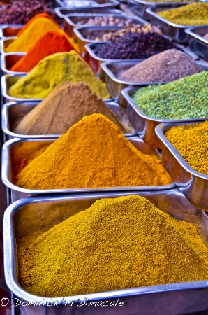 ~ ~ SPICES OF LIFE ~ ~