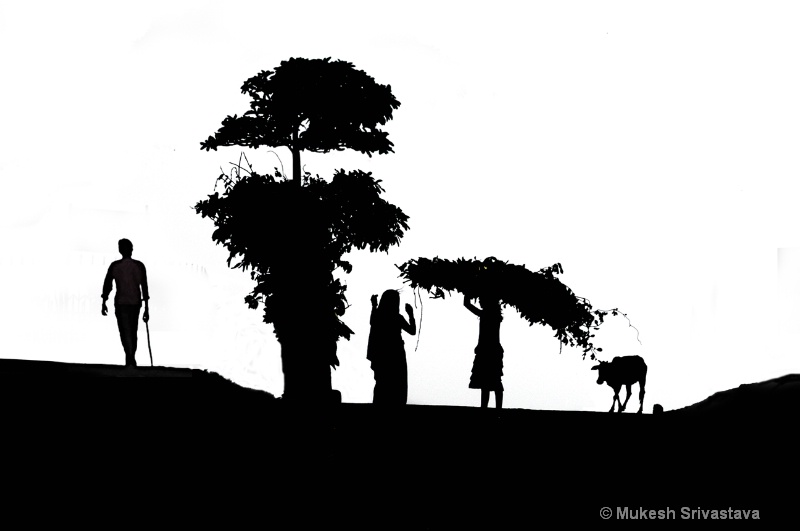 Countryside Silhouettes.
