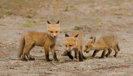 The Three Amigos!