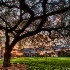 © Elliot S. Barnathan PhotoID# 12944936: Washington University Sunset 4