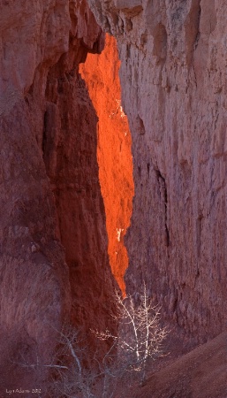 sun play in Bryce Canyon
