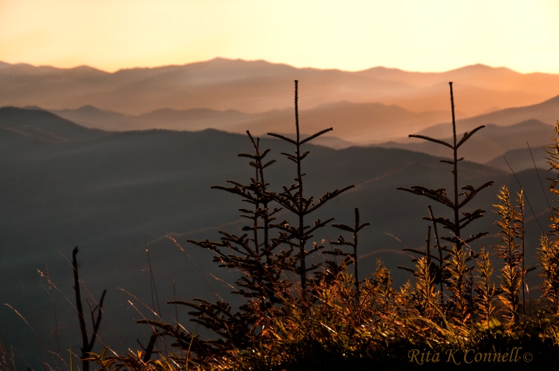 sunset in the smokey's