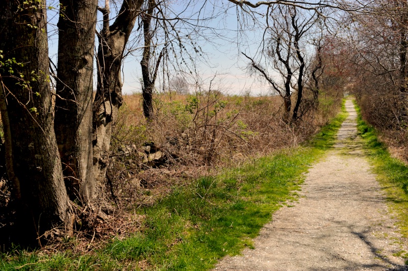 Hiking Path - ID: 12948967 © Dawn Schwack