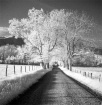 Sparks Lane IR
