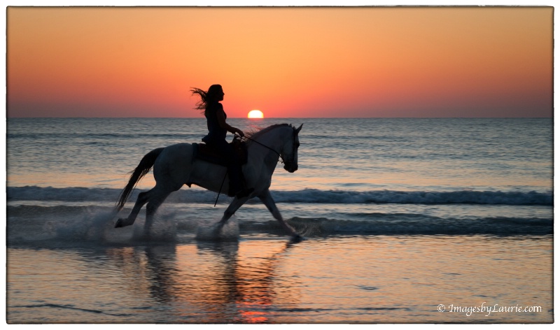 Galloping into the Sunrise