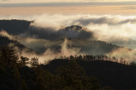 Morning Fog