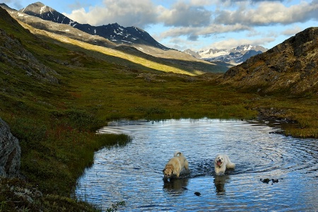 Happiness is a Mountain Pond