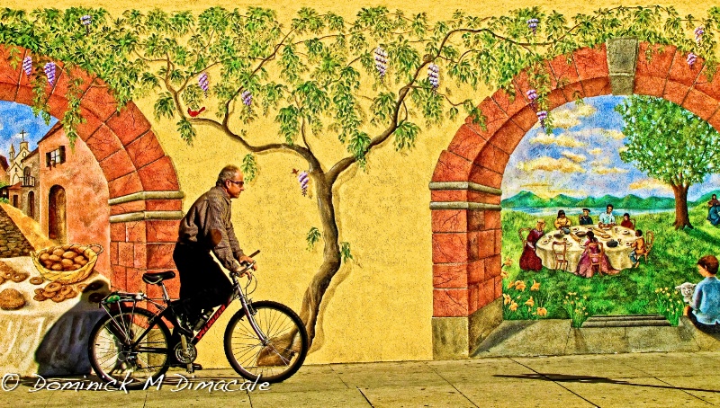 ~ ~ THE BICYCLIST ~ ~