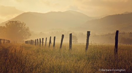 Smoky Mountain NP www.lovesmephotos.com 