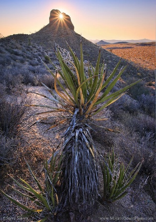 Eye of the Mojave