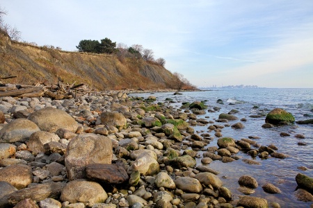 Rocky Shore