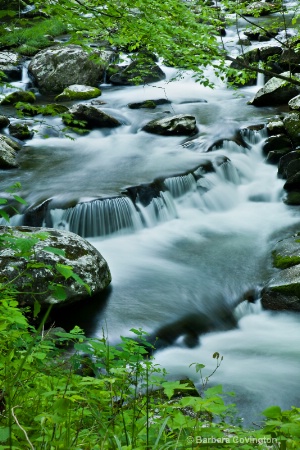 Little River  Smoky Mountain NP www.lovesmephotos.