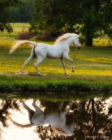 Racing Reflections