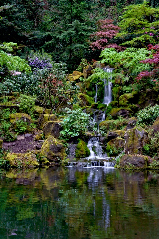 Japanese Garden