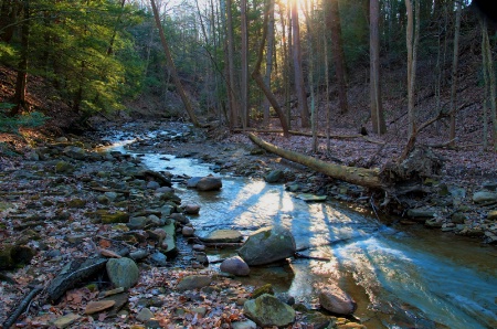 South Chagrin Reservation