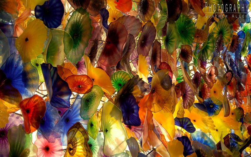 Chihuly Ceiling 