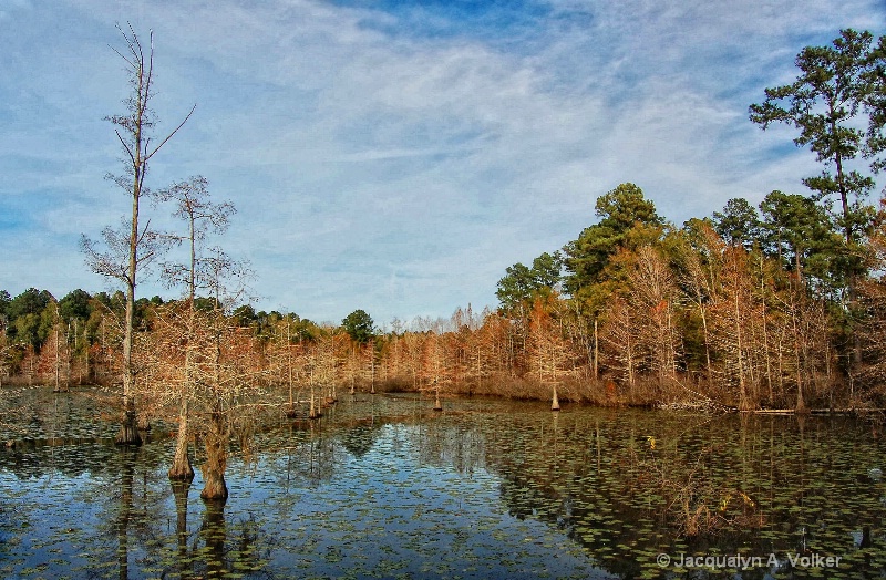 Thanksgiving at Iatt Lake 