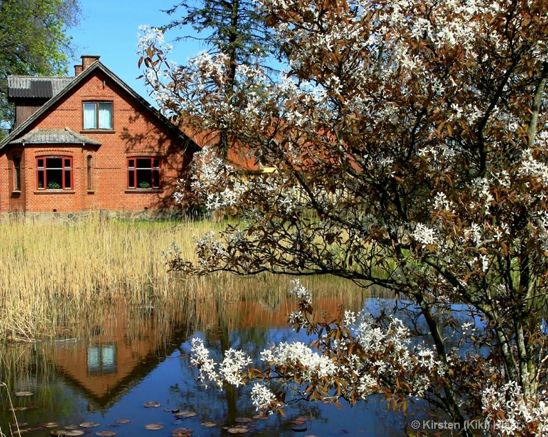 Springtime In The Village