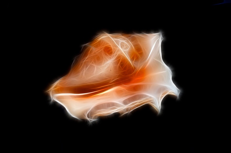 Fractal Shell