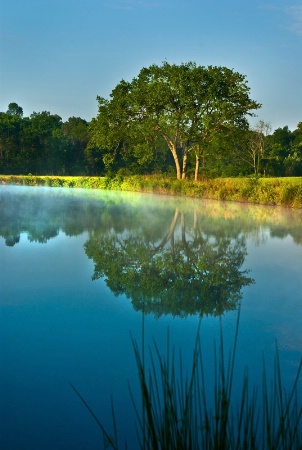 Reflecting