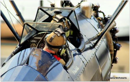 WWII Biplane Pilots