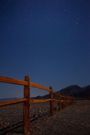 Moonlit Fence