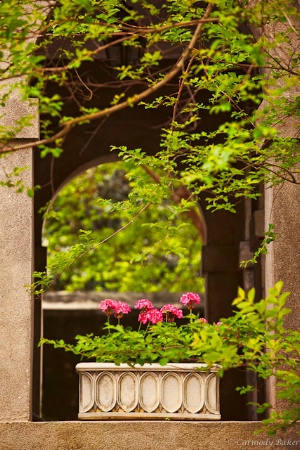 Window Box