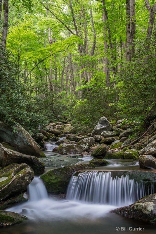 LeConte Creek - Smoky Mountains - ID: 12961796 © Bill Currier