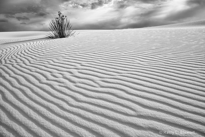 White Sands Image 5 - ID: 12962164 © Kerry L. Stewart