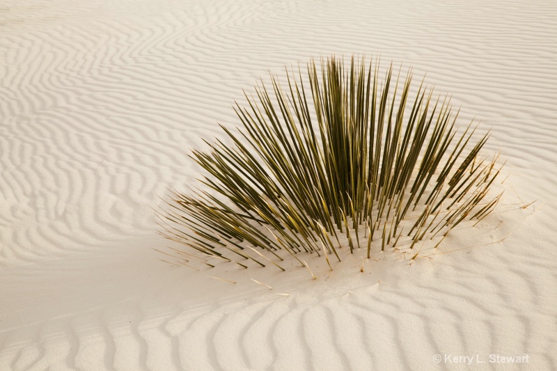 White Sands Image 1